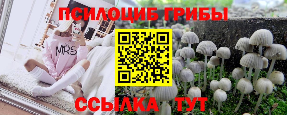 Псилоцибиновые грибы ЛСД Подольск