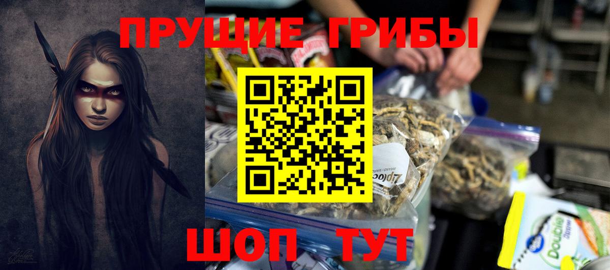 сколько стоит  Псилоцибиновые грибы MAGIC MUSHROOMS  Подольск  Вход с VPN  Псилоцибиновые грибы мицелий 